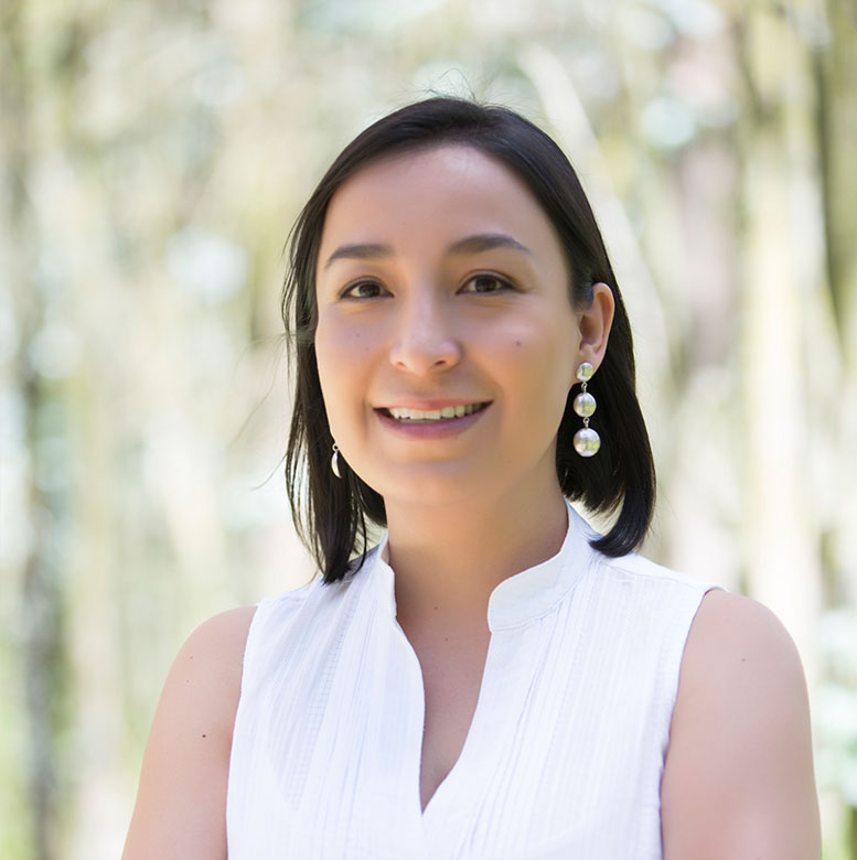 CVD Arquitectura - Arq. Paola Silva